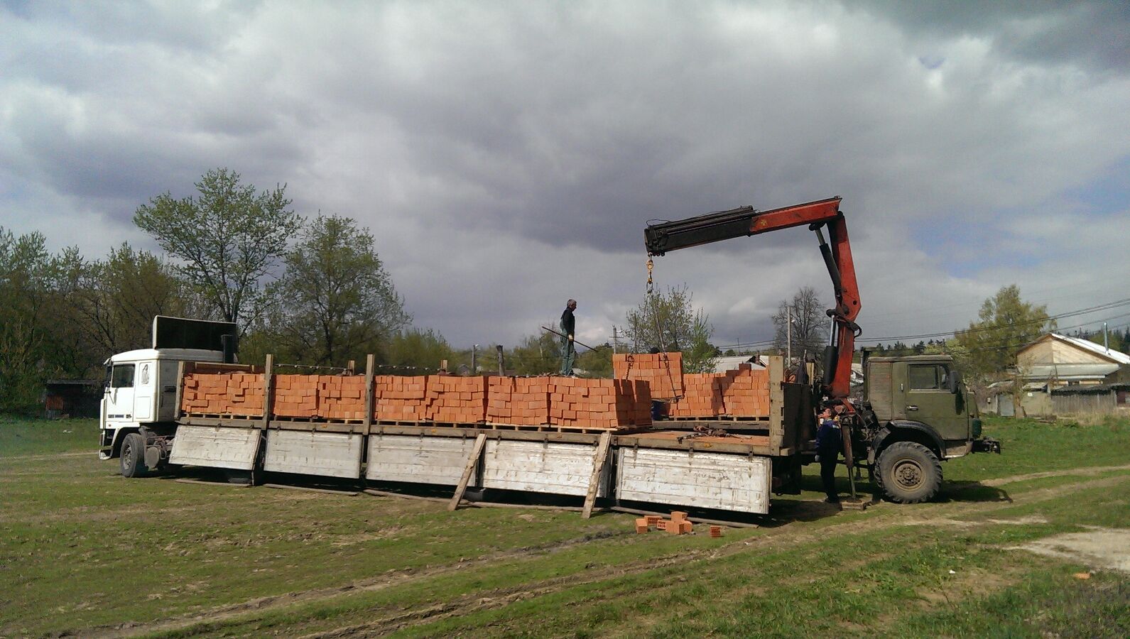 Лесные поляны