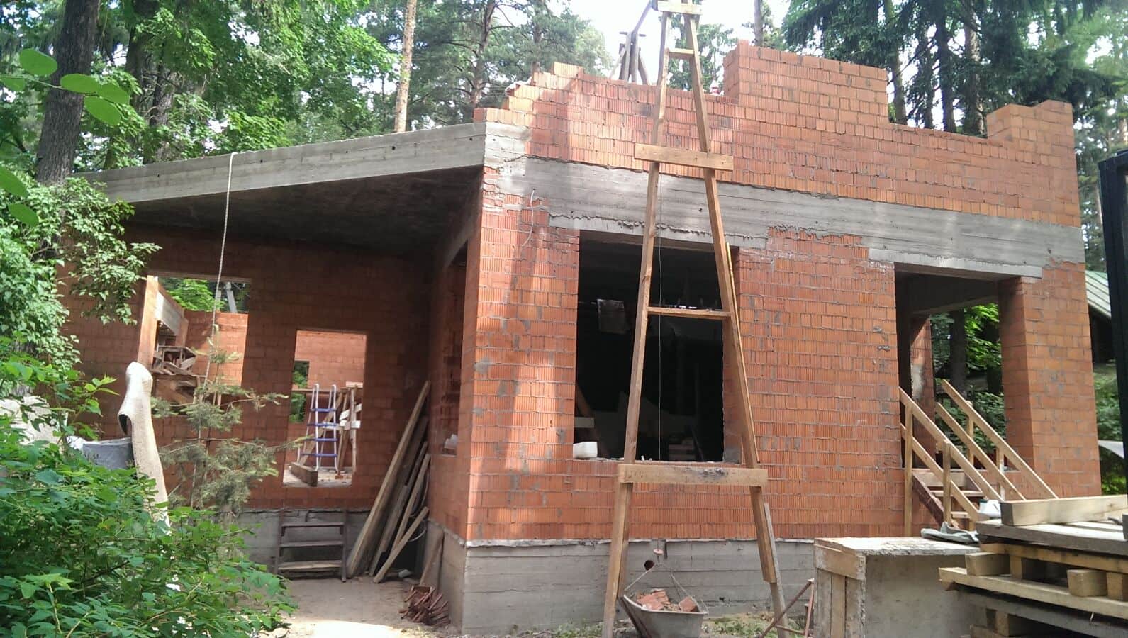 Лесные поляны